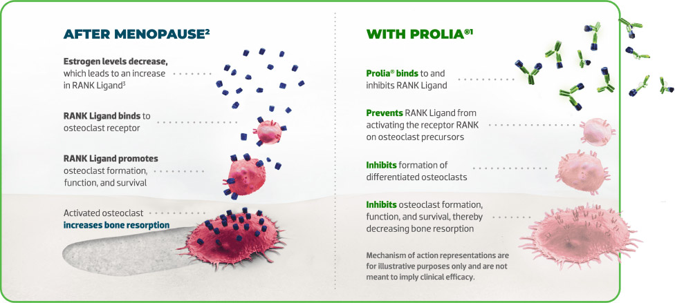 After menopause with prolia